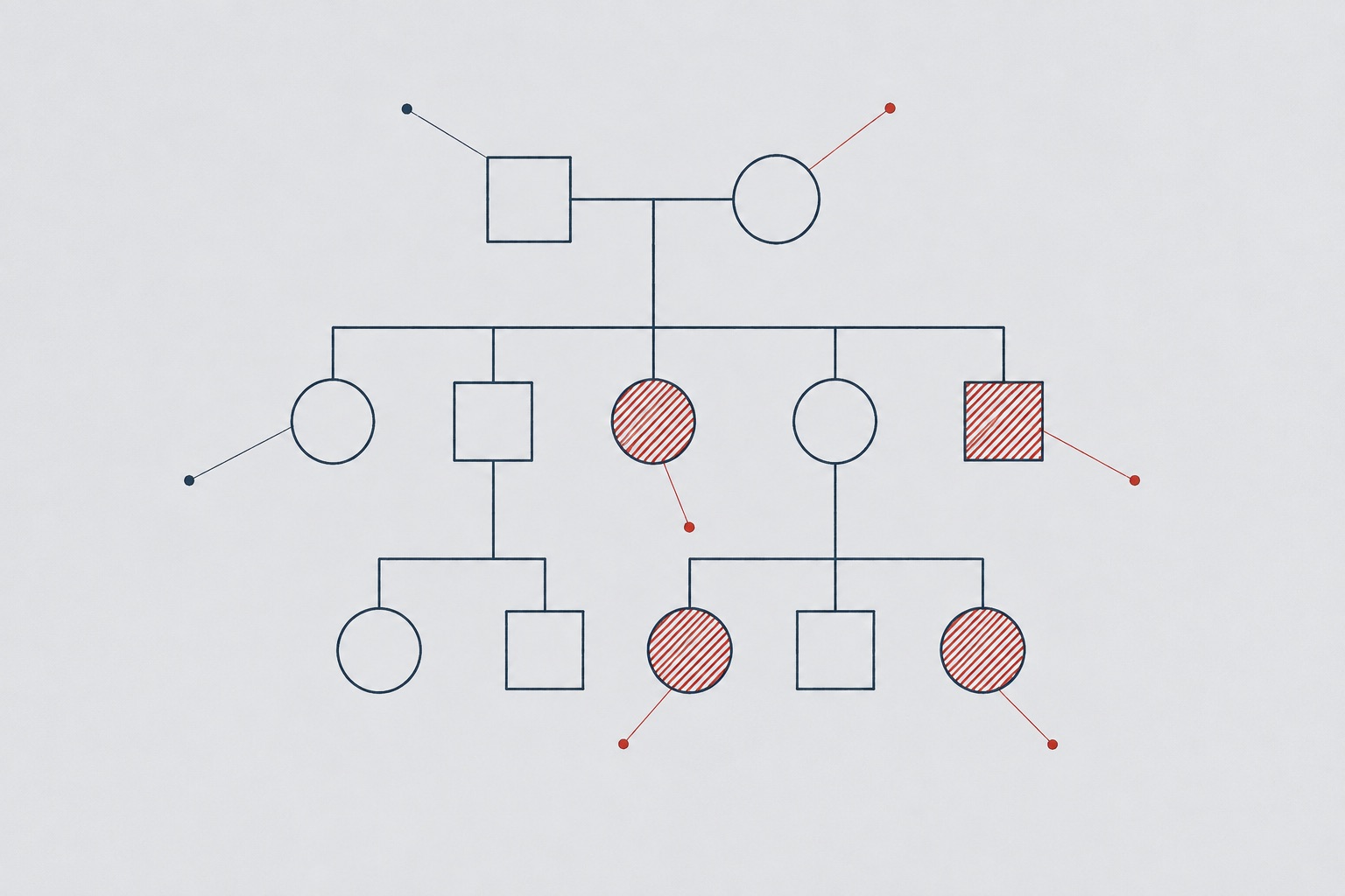 Three-generation pedigree chart in fine slate blue tracing: rows of outlined squares and circles linked by thin sibship and descent lines, exactly three circles and two squares filled with red hatching, on pale film gray